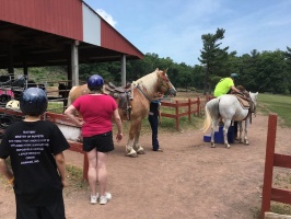 Bailywick Animal Farm and Riding Stable 6-26-16 