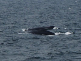 Boston 2012
