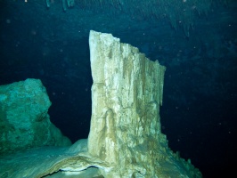 Monday Diving in the Cenote