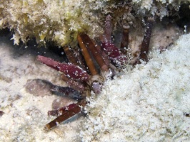 Cancun 2012