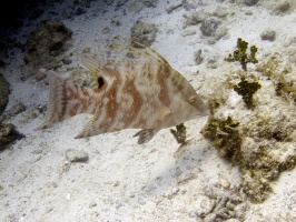 Cancun 2011
