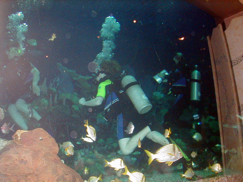 divequest2_001.jpg