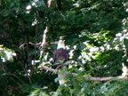 IMG 0073
