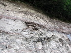 IMG 0083