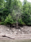 IMG 0085