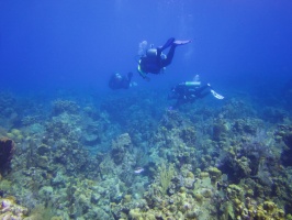 068  Divers IMG_6478
