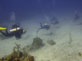 039  Divers IMG_6744
