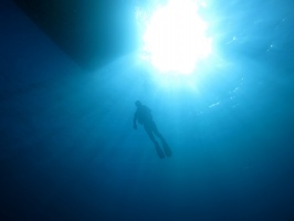 055  Diver IMG_6763