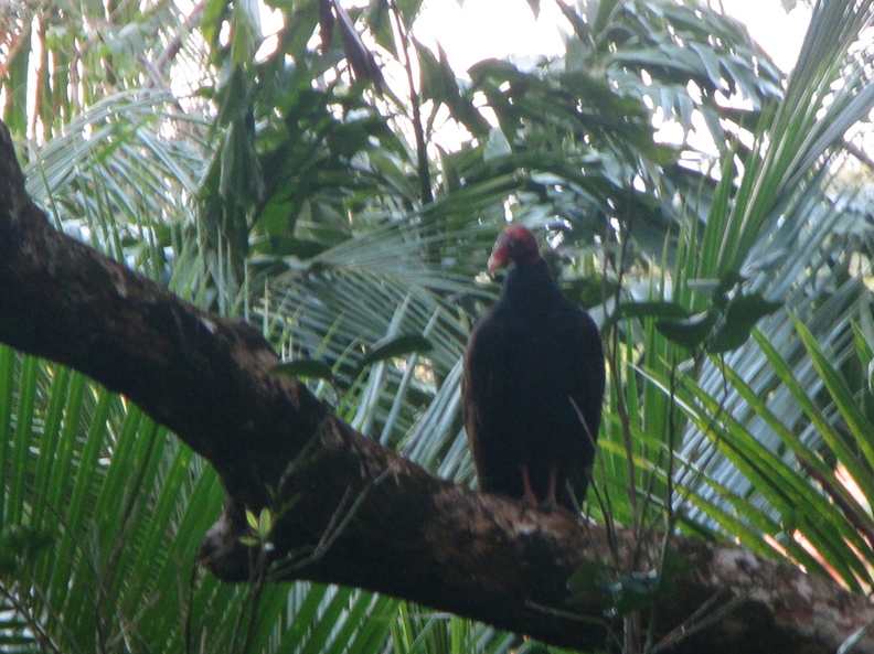 002  IMG_8490.jpg