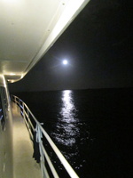 015  Moonlight from the Belize Aggressor III IMG_9224