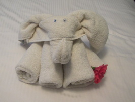 055  Elephant Towel IMG_9942