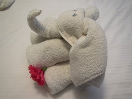 056  Elephant Towel IMG_9943
