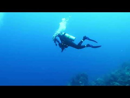 Roatan 2018 Divers