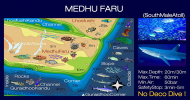 Medhu faru