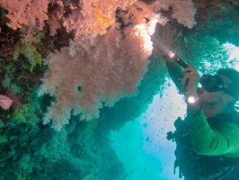 Ruslan with Rare White Soft Coral IMG 0947-Edit