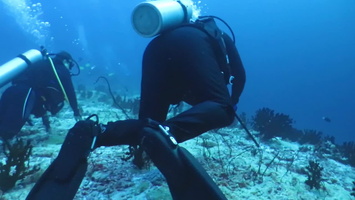 Divers using Reef Hooks MVI 0283