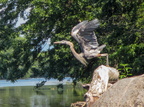 IMG 7849