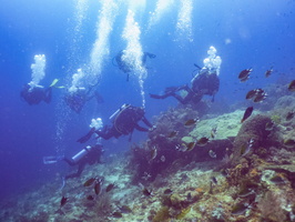 Divers IMG 2686