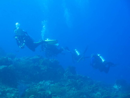 Divers IMG 2691