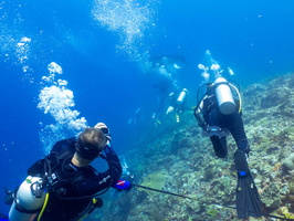 Divers with Manta Ray IMG 2967