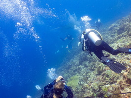 Divers with Manta Ray IMG 2968