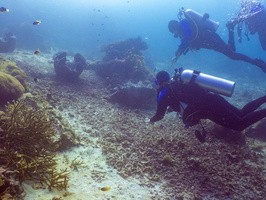 Divers looking at Giant Clam IMG 2792