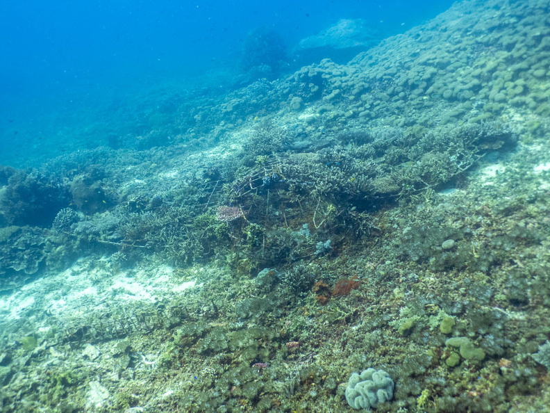 Manta ray Artifical Reef IMG_2930.jpg