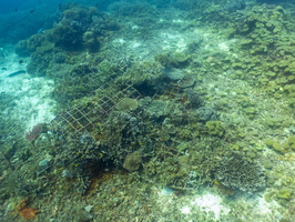 Artificial Reef IMG 2944