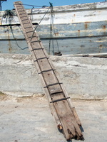 P1191995
