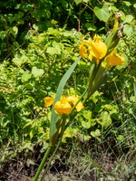 P6043641