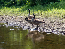 P7254367