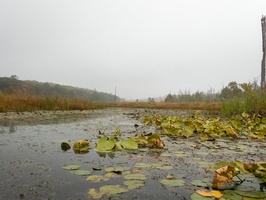 P9265738