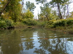 PA015882