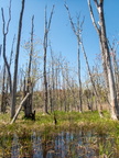 P1016993