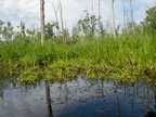 P6107467