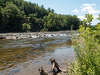 P7318213