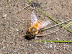 P7318222