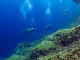 1Divers on Reef