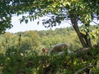 P9100497