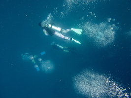 16 Divers IMG 3628