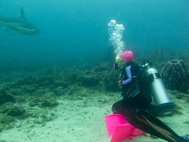 13 Karen and Caribbean Reef Shark IMG 4051
