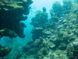 56 Reef IMG 3958