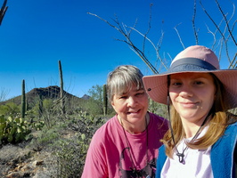 Desert Museum