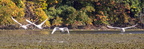 16 IMG 1780