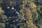 24 IMG 1799