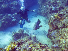 7 Mike with Goliath Grouper IMG 3657