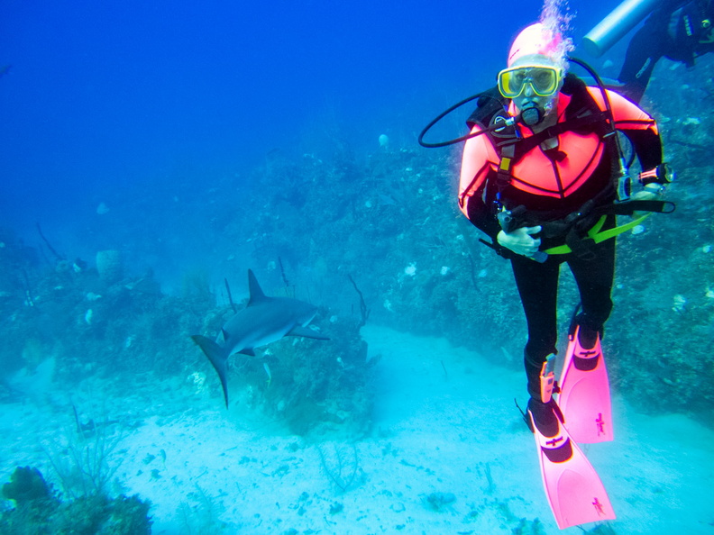 19 Karen with Caribbean Reef Shark IMG_3682.jpg