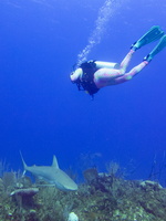 26 Lea Ann with Caribbean Reef Shark IIMG 3695
