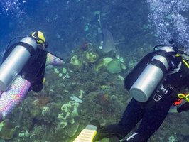 34 Lee Ann and Jim with Caribbean Reef Shark IMG 4532