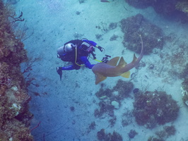 36 Bruce with Nurse Shark IMG 4536